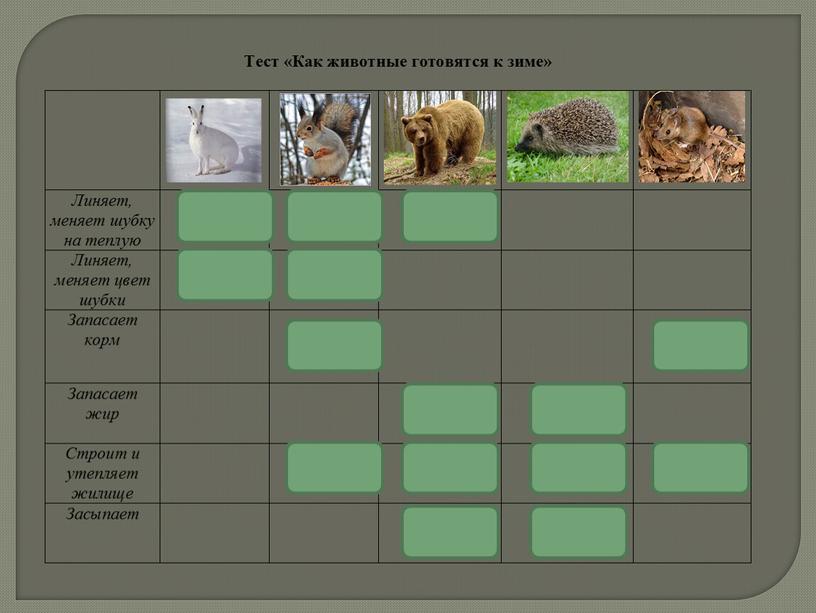 Технологическая карта+презентация по окружающему миру на тему "Как животные готовятся к зиме" (2 класс)