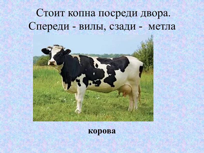 Стоит копна посреди двора. Спереди - вилы, сзади - метла корова