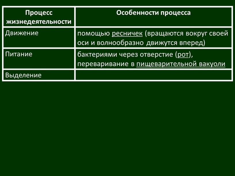 Процесс жизнедеятельности Особенности процесса