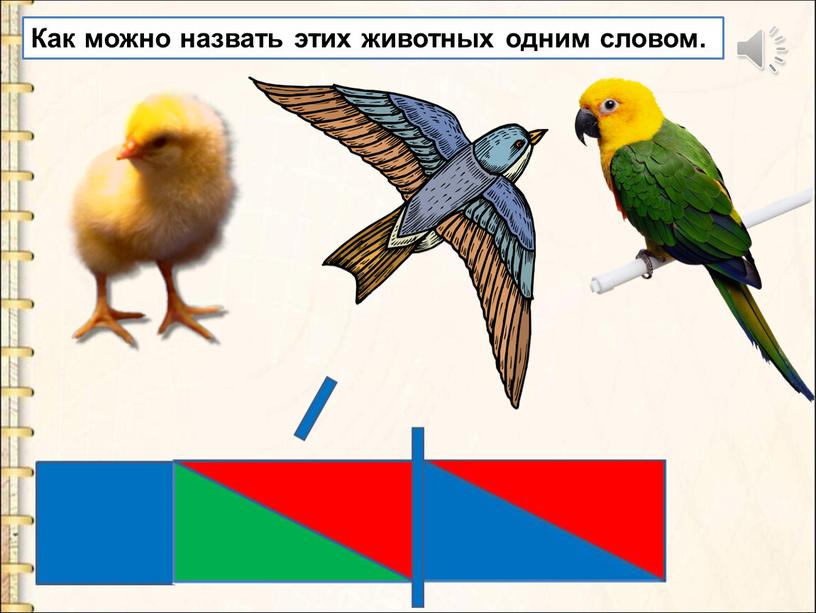 Как можно назвать этих животных одним словом