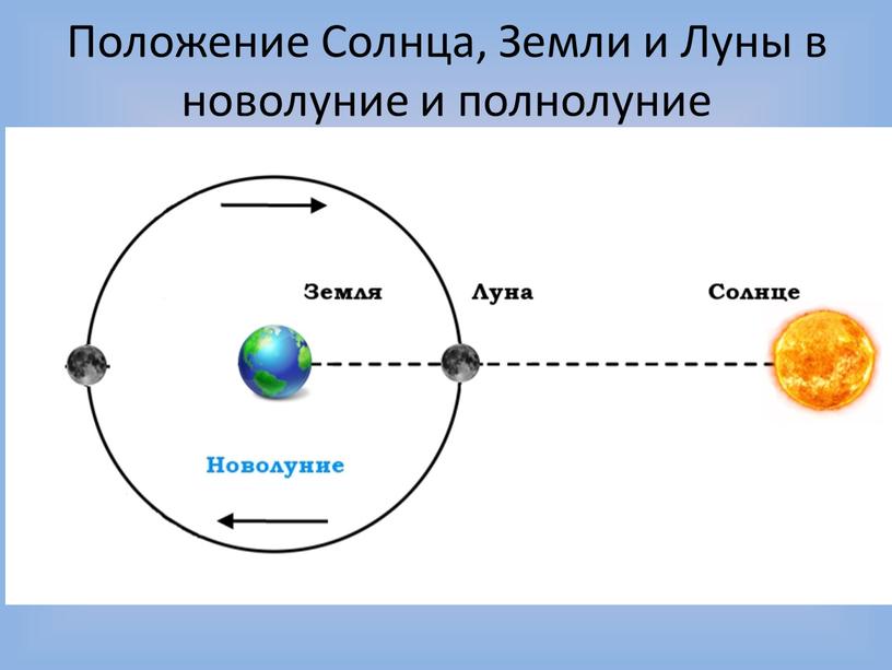 Положение Солнца, Земли и Луны в новолуние и полнолуние новолуние полнолуние