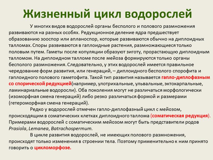 Жизненный цикл водорослей У многих видов водорослей органы бесполого и полового размножения развиваются на разных особях