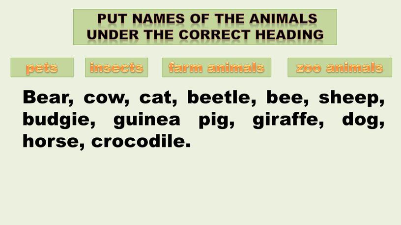 Bear, cow, cat, beetle, bee, sheep, budgie, guinea pig, giraffe, dog, horse, crocodile