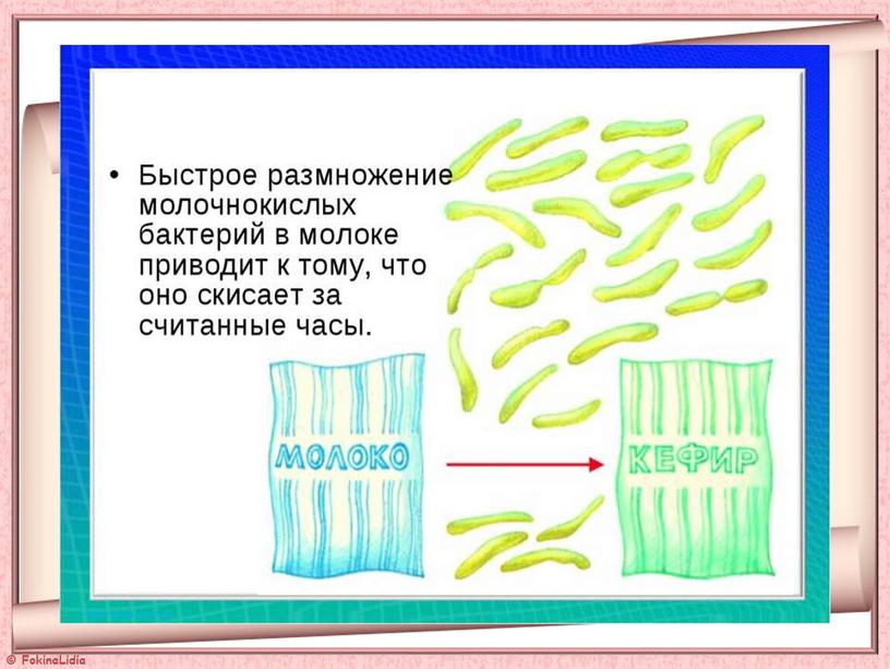 Презентация  к уроку "Бактерии"