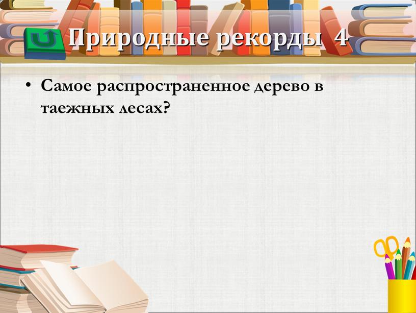 Природные рекорды 4 Самое распространенное дерево в таежных лесах?