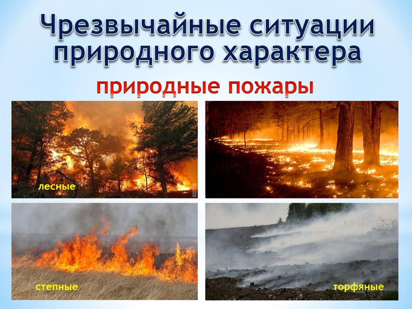 Чрезвычайные ситуации природного характера природные пожары лесные степные торфяные