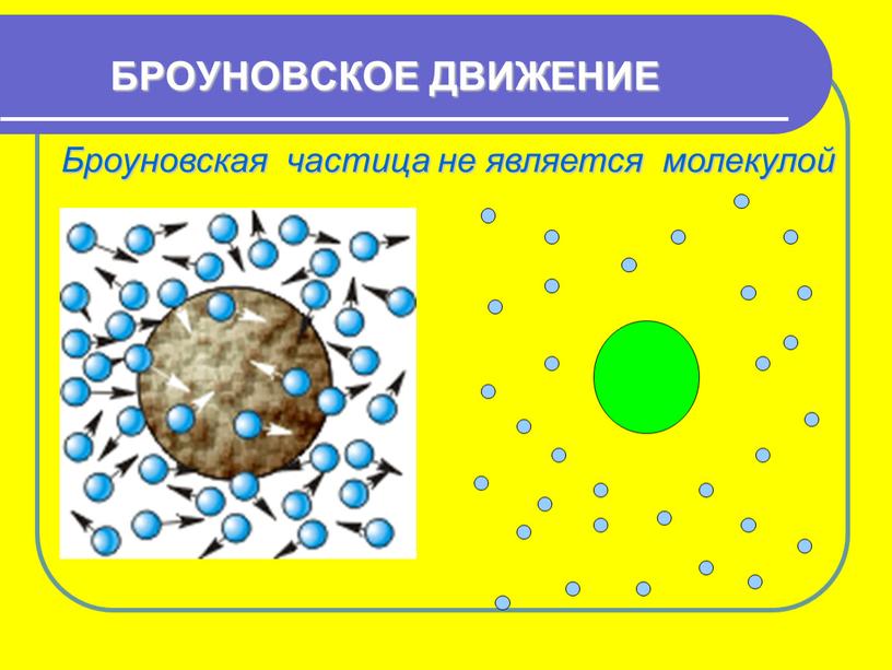 БРОУНОВСКОЕ ДВИЖЕНИЕ Броуновская частица не является молекулой