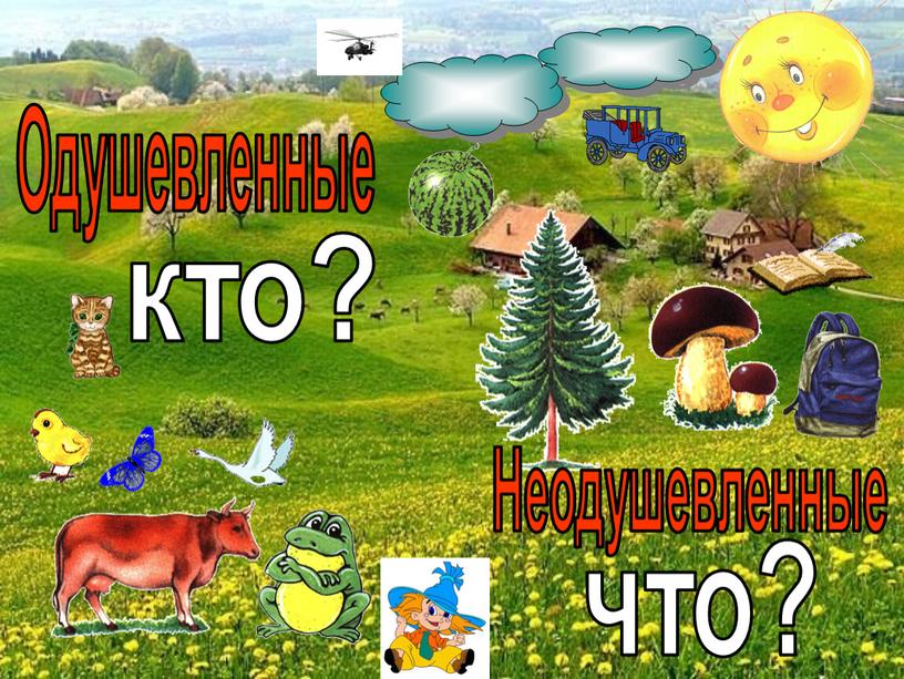 Одушевленные Неодушевленные кто? что?