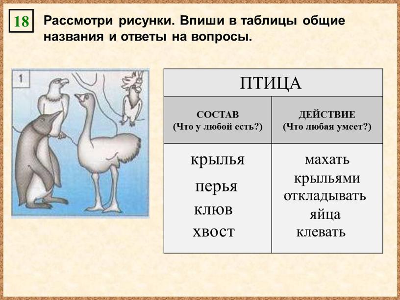 Рассмотри рисунки. Впиши в таблицы общие названия и ответы на вопросы