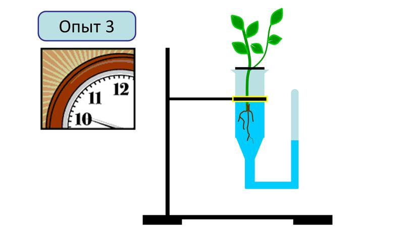 Опыт 3
