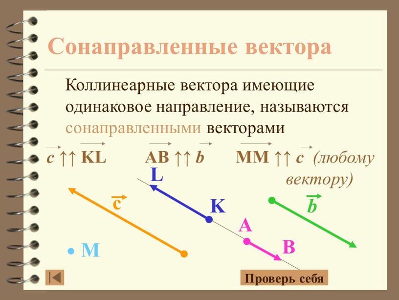 Сонаправленные вектора Коллинеарные вектора имеющие одинаковое направление, называются сонаправленными векторами