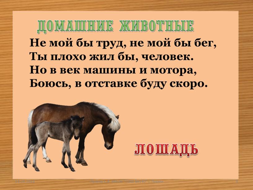 Не мой бы труд, не мой бы бег,