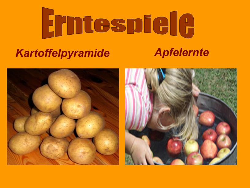 Kartoffelpyramide Apfelernte