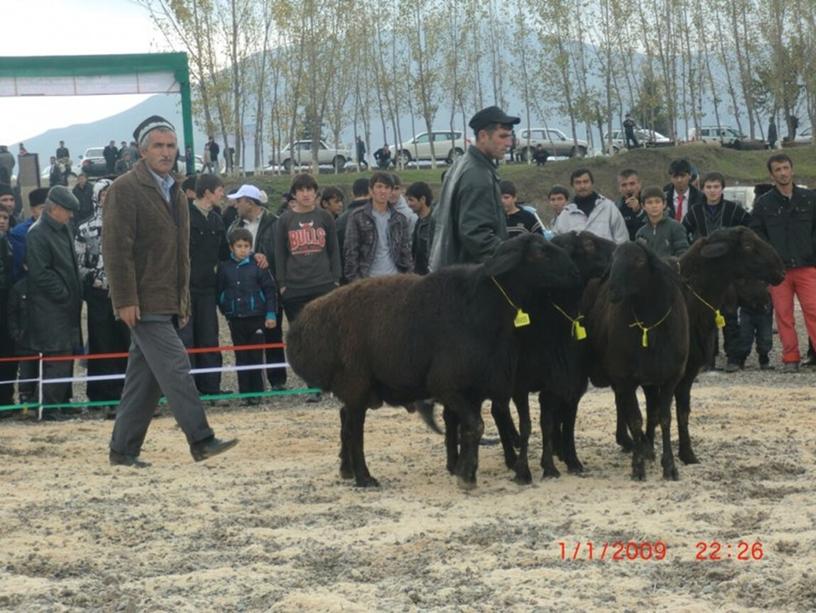 Презентация на тему "Праздник Мехргон"