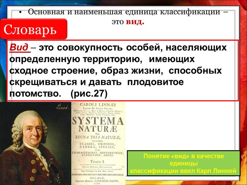 Основная и наименьшая единица классификации – это вид