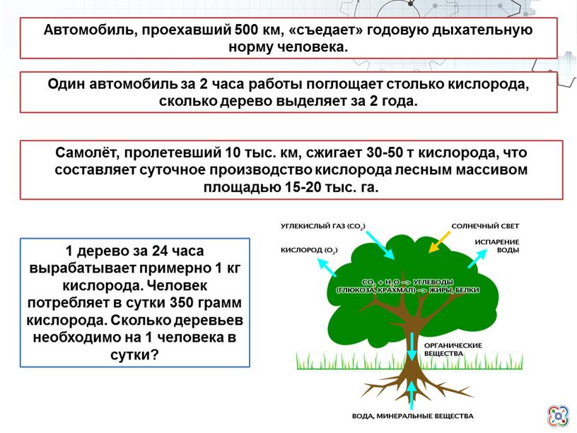 Самолёт, пролетевший 10 тыс. км, сжигает 30-50 т кислорода, что составляет суточное производство кислорода лесным массивом площадью 15-20 тыс