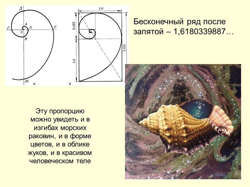 Эту пропорцию можно увидеть и в изгибах морских раковин, и в форме цветов, и в облике жуков, и в красивом человеческом теле