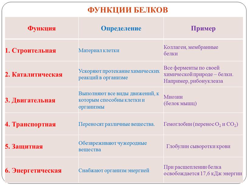 ФУНКЦИИ БЕЛКОВ Функция Определение