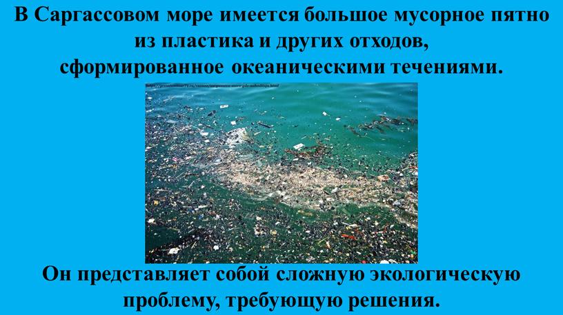 В Саргассовом море имеется большое мусорное пятно из пластика и других отходов, сформированное океаническими течениями