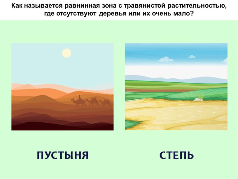 Как называется равнинная зона с травянистой растительностью, где отсутствуют деревья или их очень мало?