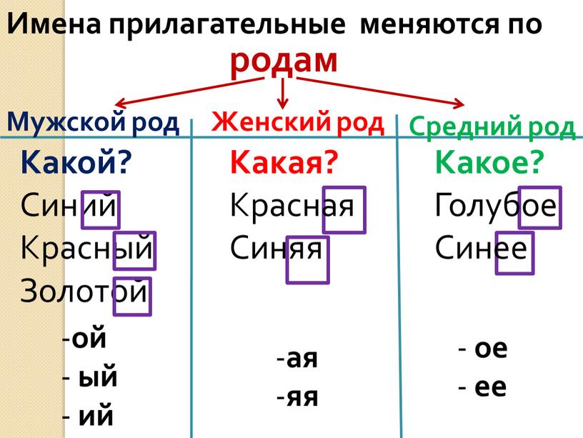 Имена прилагательные меняются по родам