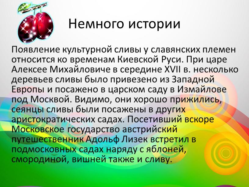 Немного истории Появление культурной сливы у славянских племен относится ко временам