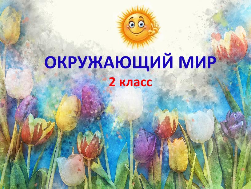 ОКРУЖАЮЩИЙ МИР 2 класс