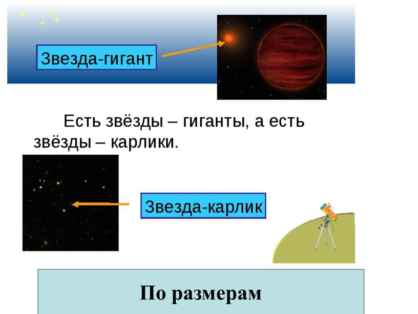 По размерам