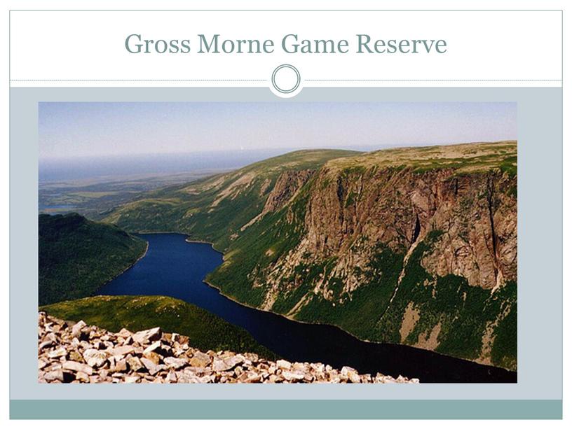 Gross Morne Game Reserve