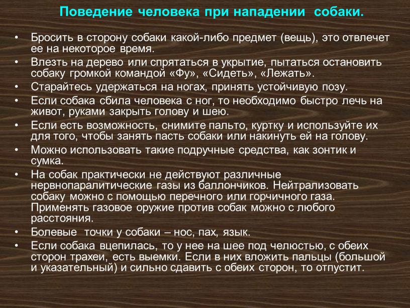 Поведение человека при нападении собаки