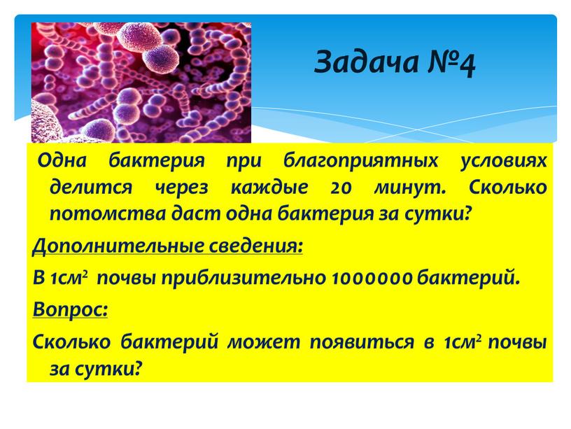 Задача №4 Одна бактерия при благоприятных условиях делится через каждые 20 минут