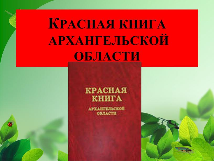 КРАСНАЯ КНИГА АРХАНГЕЛЬСКОЙ ОБЛАСТИ