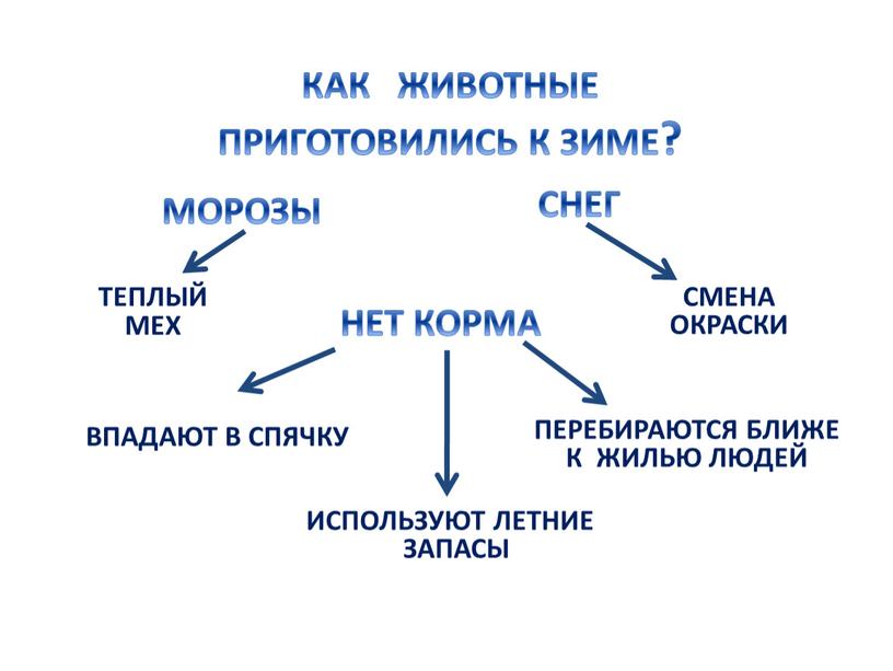 ТЕПЛЫЙ МЕХ ВПАДАЮТ В СПЯЧКУ СМЕНА