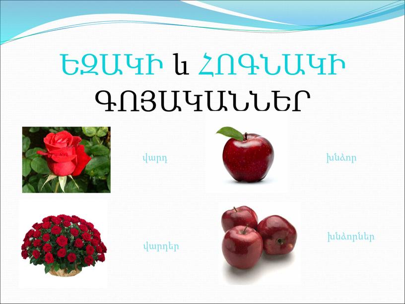 ԵԶԱԿԻ և ՀՈԳՆԱԿԻ ԳՈՅԱԿԱՆՆԵՐ խնձոր խնձորներ վարդ վարդեր