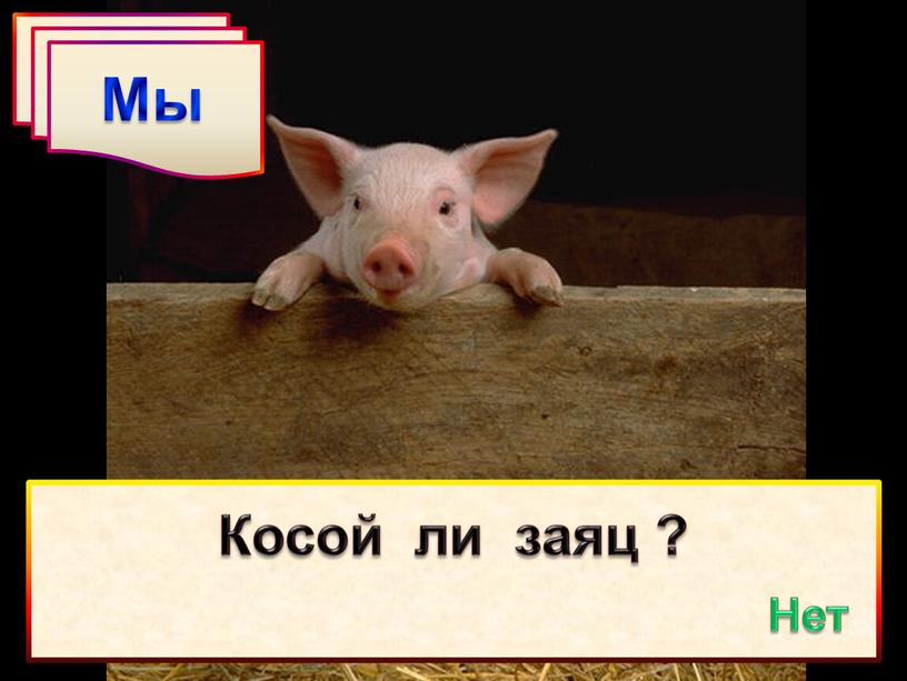 Мы Косой ли заяц ? Нет