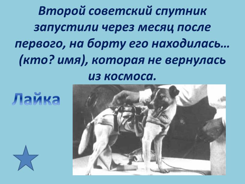 Второй советский спутник запустили через месяц после первого, на борту его находилась… (кто? имя), которая не вернулась из космоса