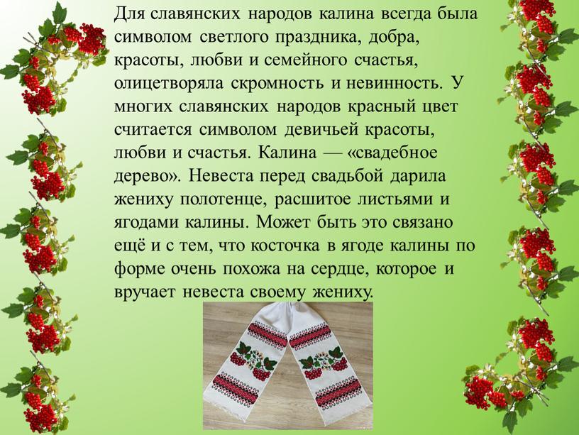 Для славянских народов калина всегда была символом светлого праздника, добра, красоты, любви и семейного счастья, олицетворяла скромность и невинность