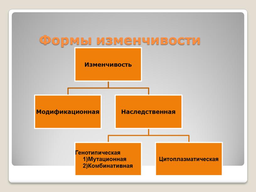 Формы изменчивости