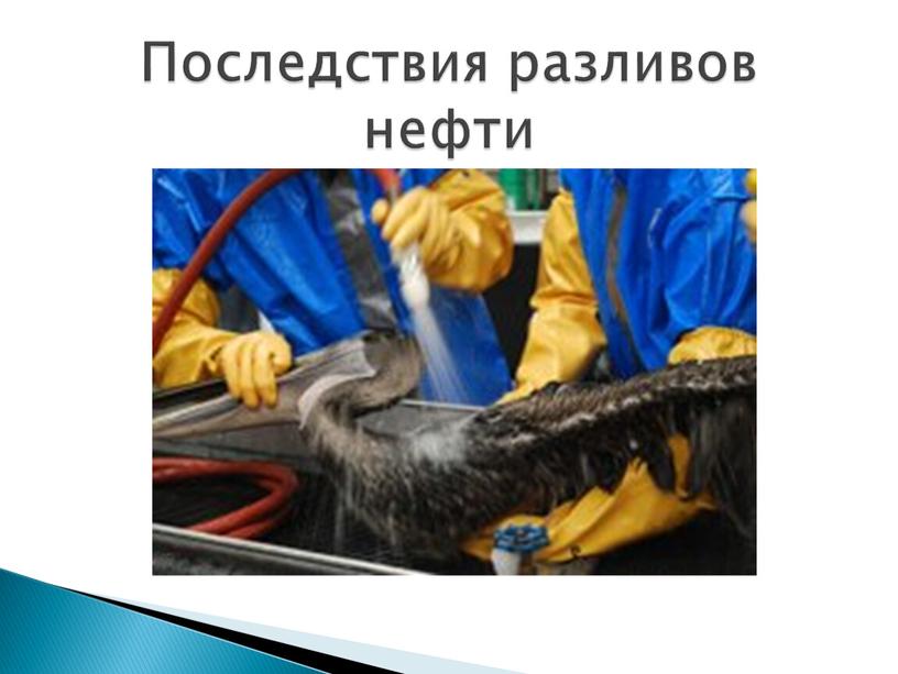 Последствия разливов нефти