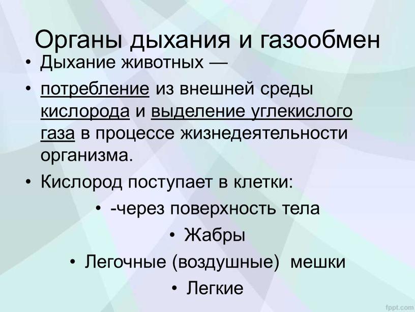 Органы дыхания и газообмен Дыхание животных — потребление из внешней среды кислорода и выделение углекислого газа в процессе жизнедеятельности организма