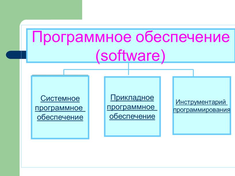 Программное обеспечение (software)