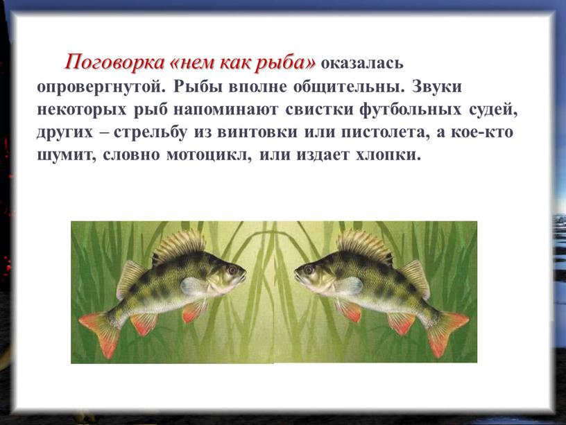 Поговорка «нем как рыба» оказалась опровергнутой