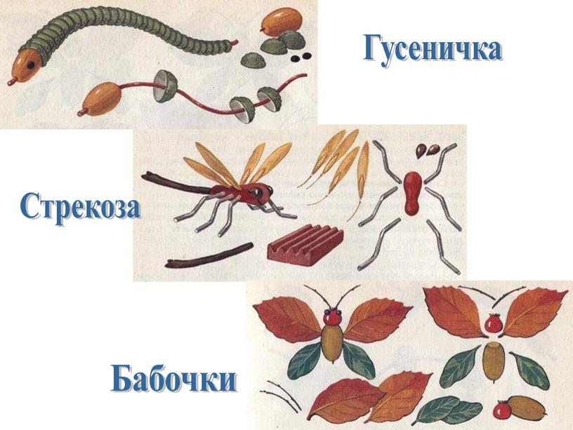 Гусеничка Стрекоза Бабочки