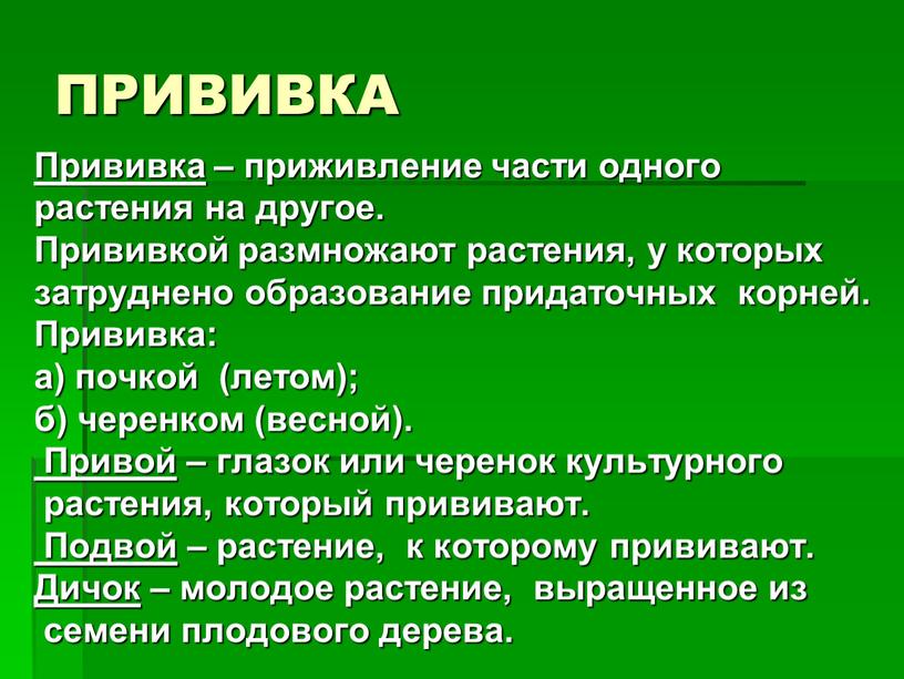 ПРИВИВКА Прививка – приживление части одного растения на другое