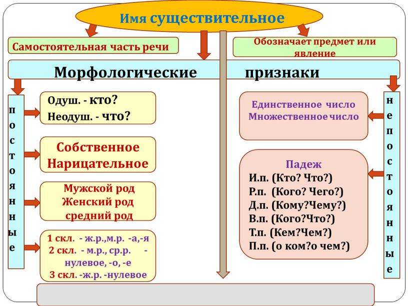 Имя существительное Собственное