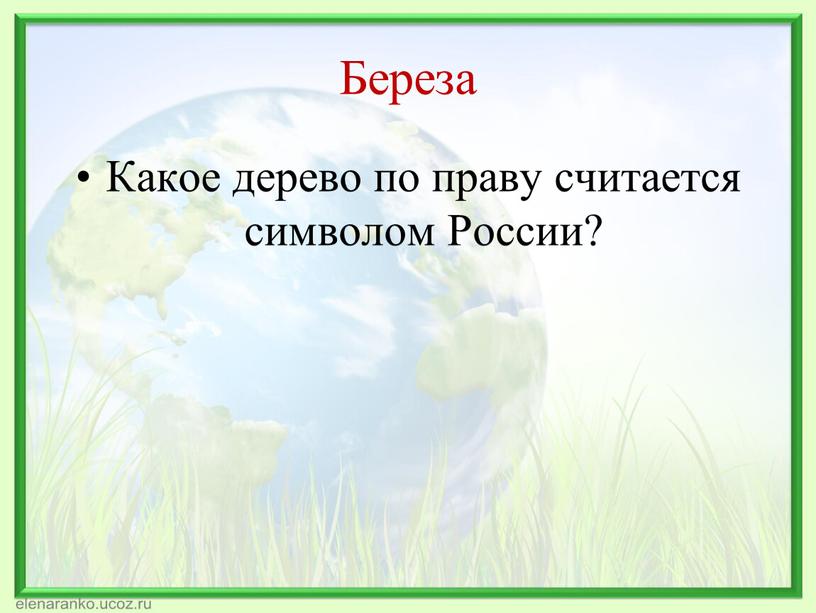 Береза Какое дерево по праву считается символом