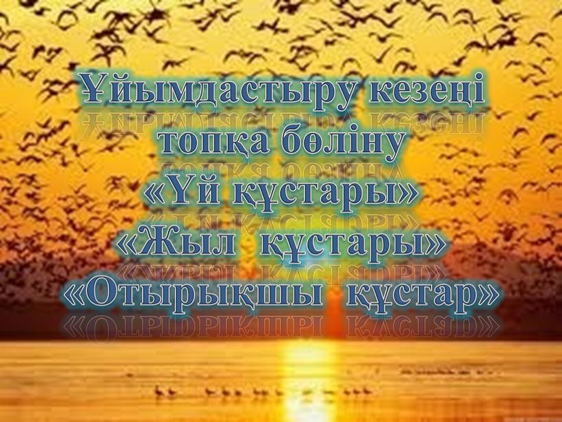 Жыл құстары» «Отырықшы құстар»