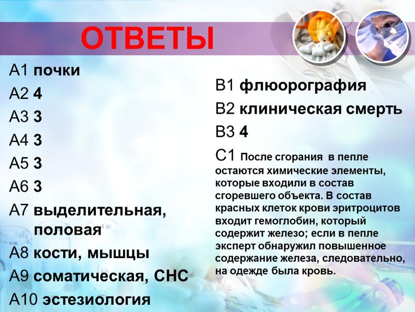 ОТВЕТЫ А1 почки А2 4 А3 3 А4 3