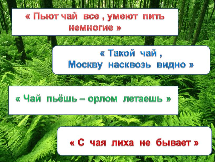 Пьют чай все , умеют пить немногие » «