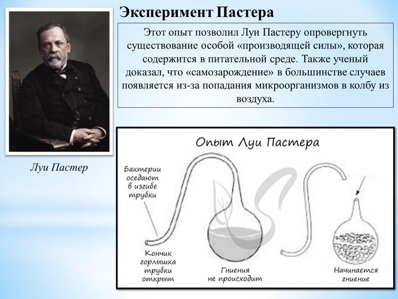 Эксперимент Пастера Луи Пастер